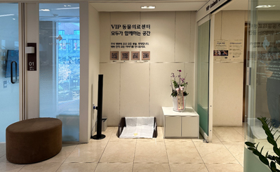 강아지 슬개골 탈구 안심하고 편한 마음으로 퇴원 기다린 수술 후기 이미지