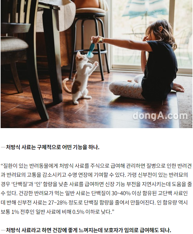 내용6.png