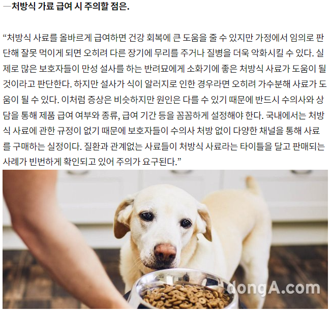 내용8.png