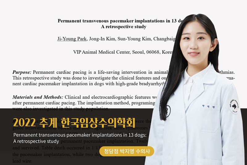 업로드(박지영-수의사).jpg