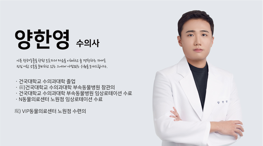230508_2023인턴일기_양한영프로필_최종.jpg