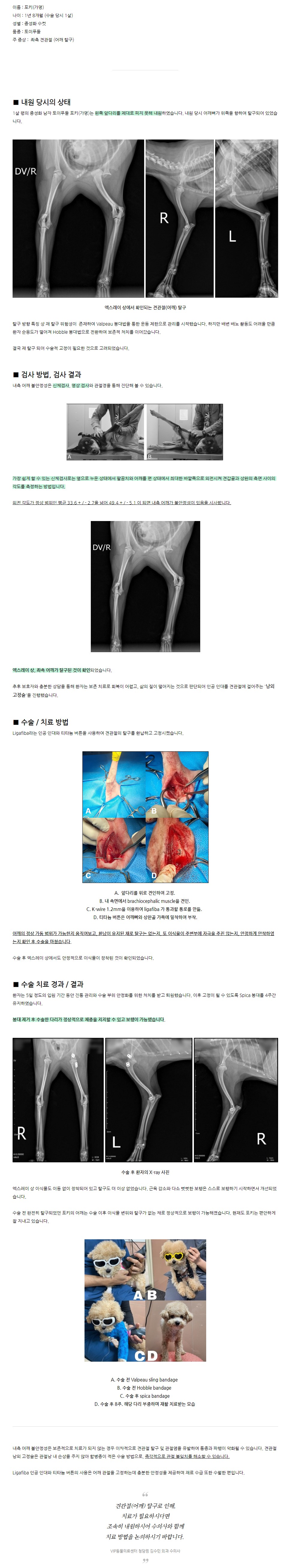 VIP동물의료센터 HOME.JPG