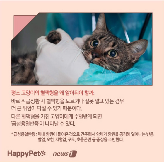썸네일04.jpg