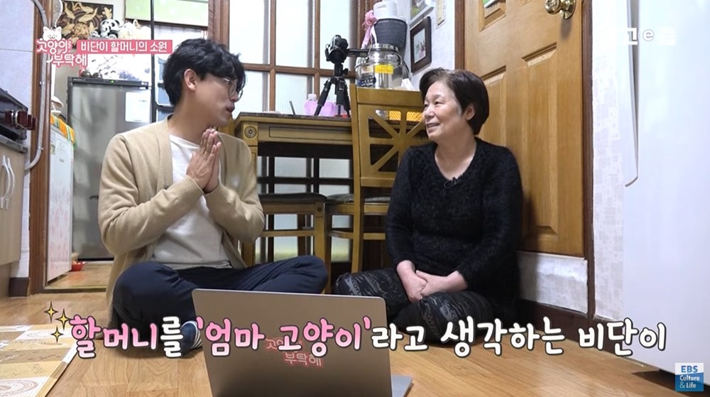 1비단 3.jpg