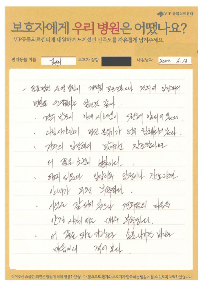 200706_모찌.jpg