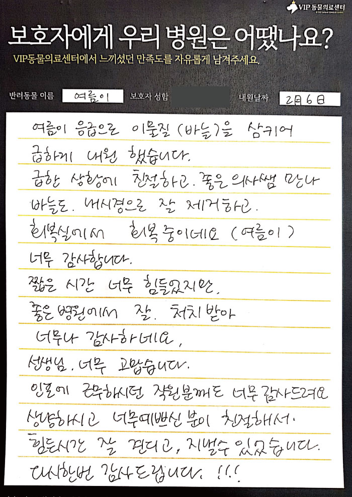 200210_여름이.jpg