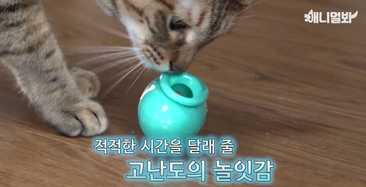 난리 브루스 11.jpg