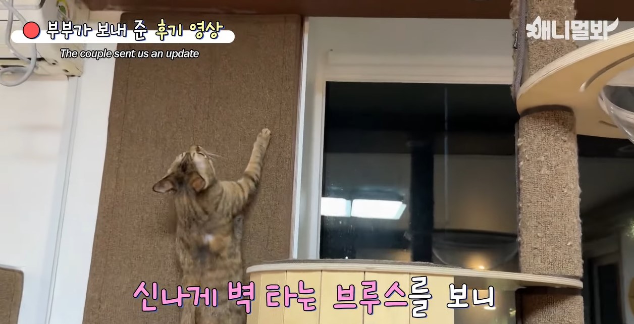 난리 브루스 12.jpg