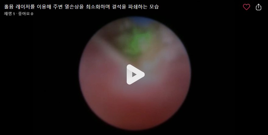 강아지 요로결석 5.jpg
