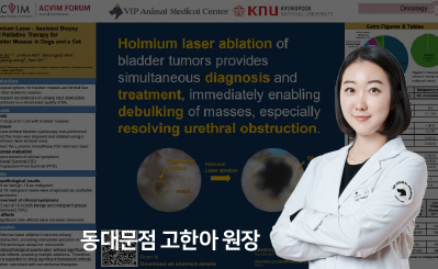포스터발표썸네일_고한아(399_245px).jpg