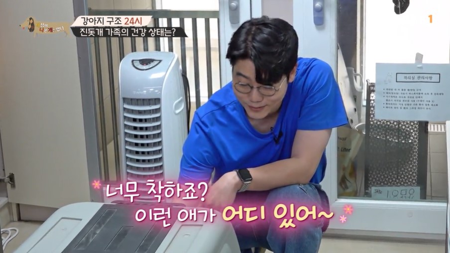 화면 캡처 2024-07-01 165217.jpg