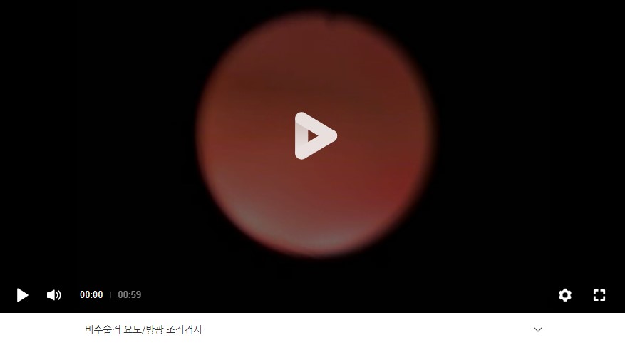 강아지 전립선 종양.jpg