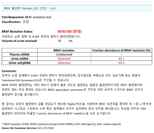 강아지 전립선 종양 11.jpg
