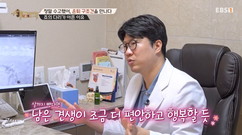 세상에나쁜개는없다14.jpg