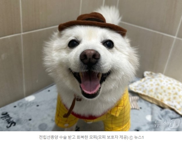 벳앤패밀리.jpg