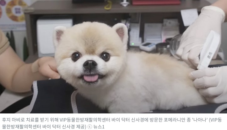 VIP동물한방재활의학센터 3.jpg