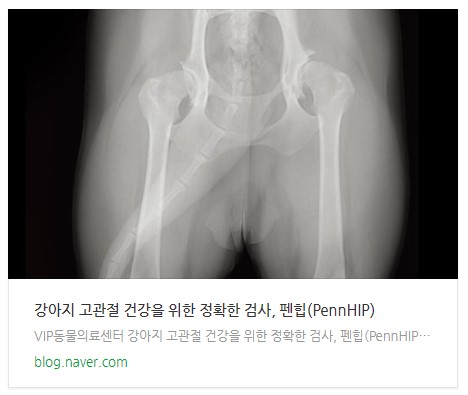 강아지 펜힙검사 .jpg