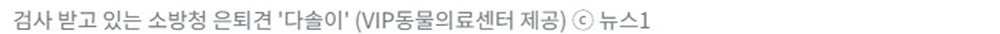 600VIP동물의료센터 사회공헌 활동 4.jpg