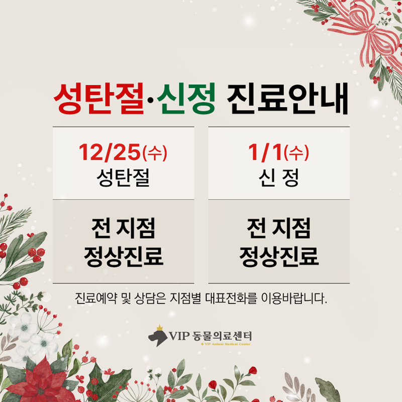성탄절+신정(홈페이지본문용800).jpg