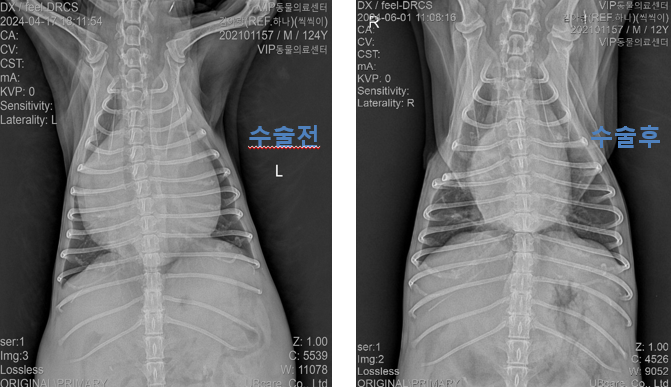 image20.png