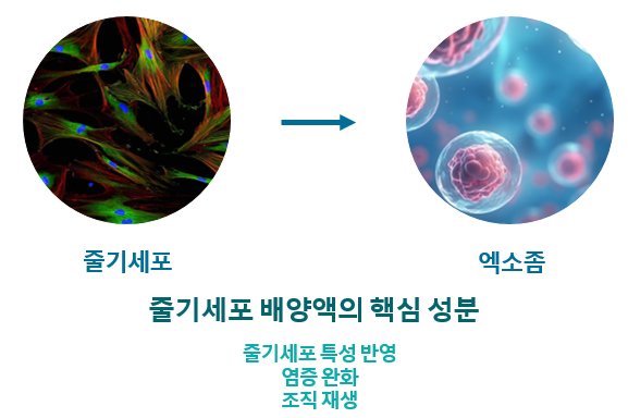 image14.png