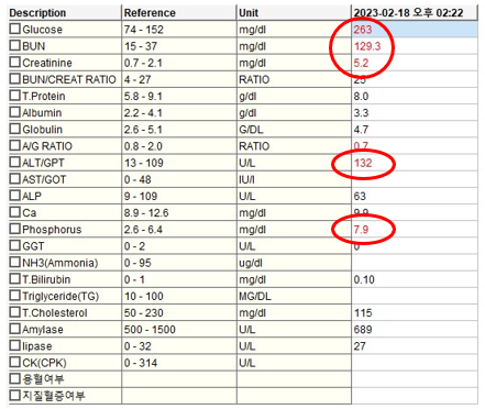 혈청화학 검사.png