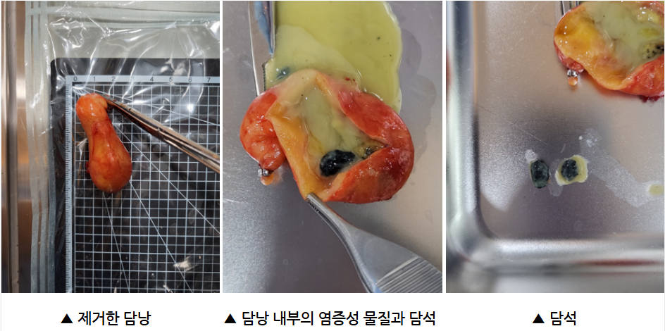 20250318_113950.png