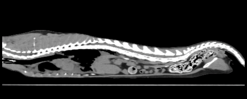 20250618_144127.png
