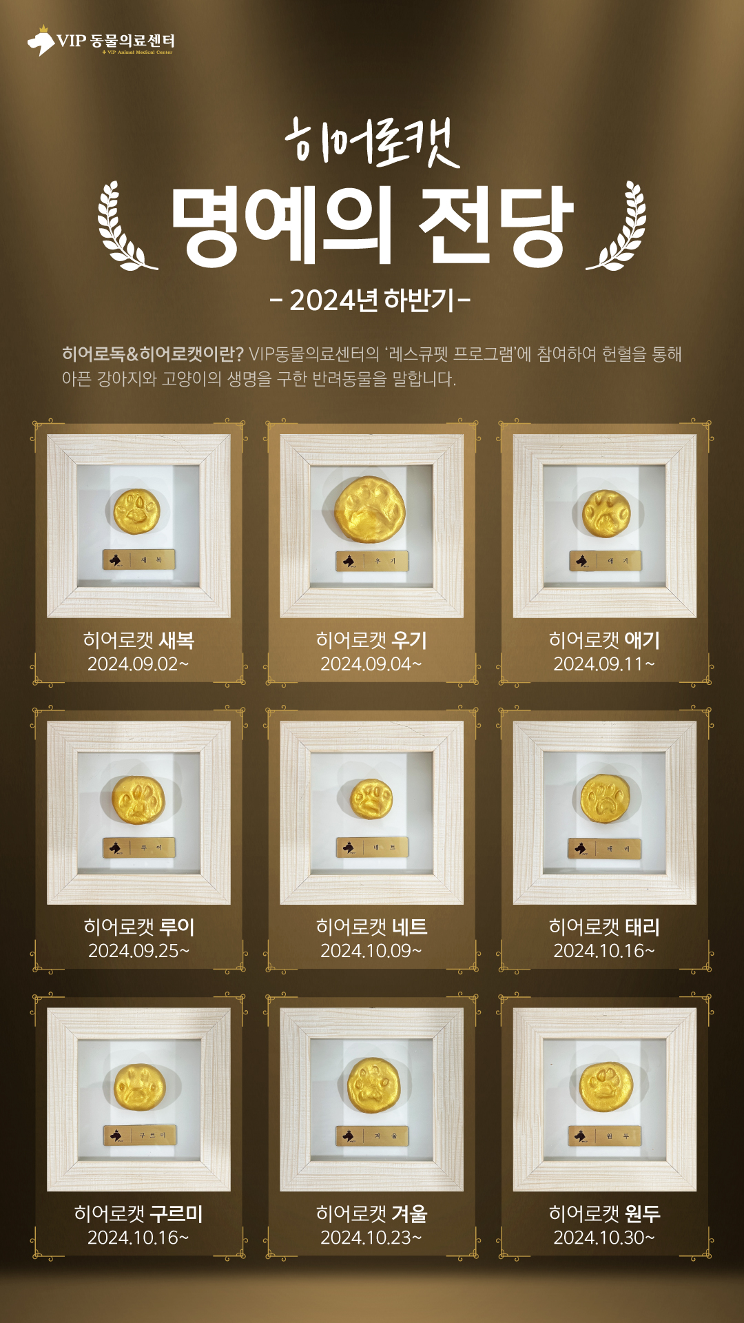 2024캣(하반기)_홈페이지01.jpg