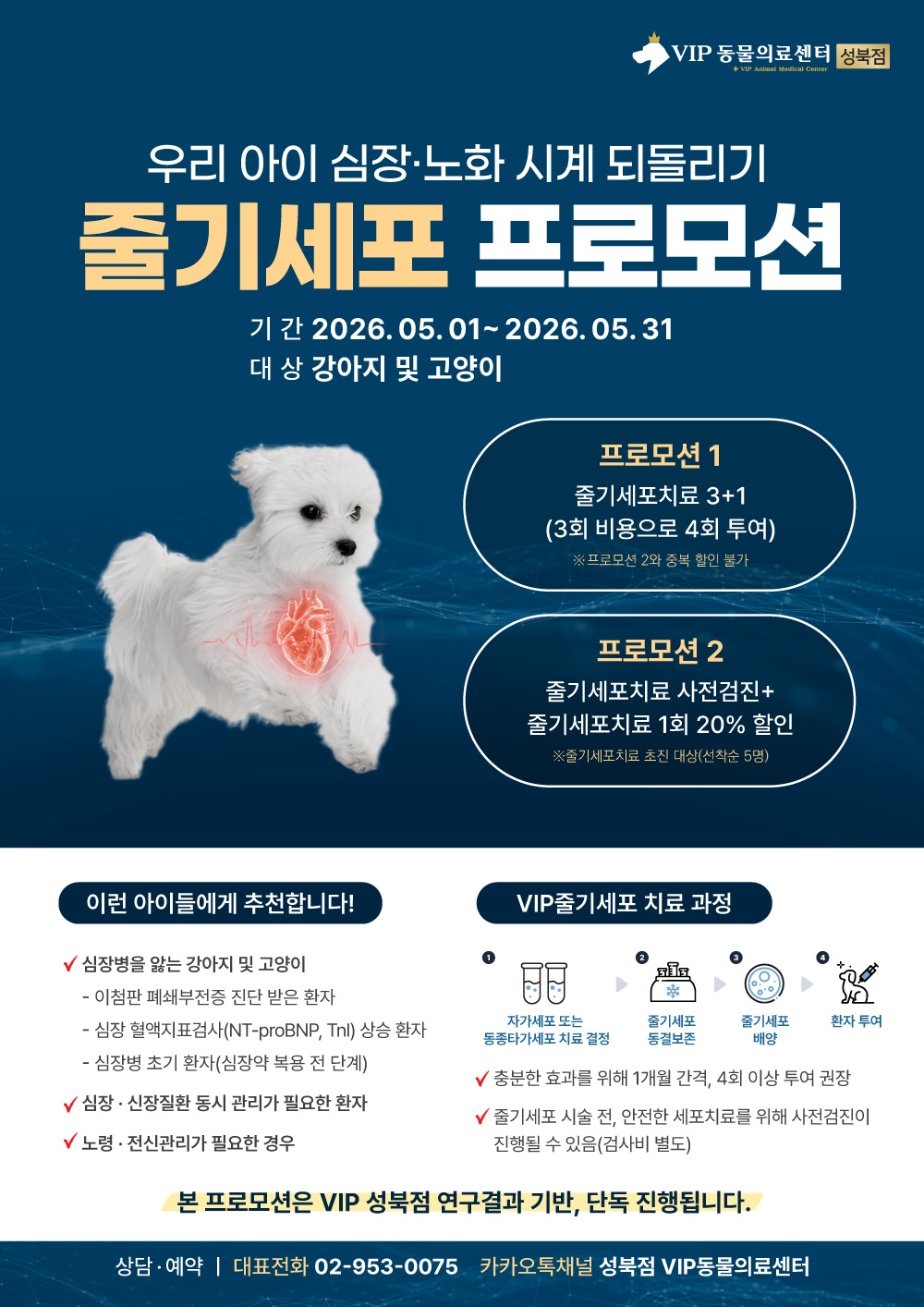 최종_성북줄기세포(홈페이지본문용)01.jpg