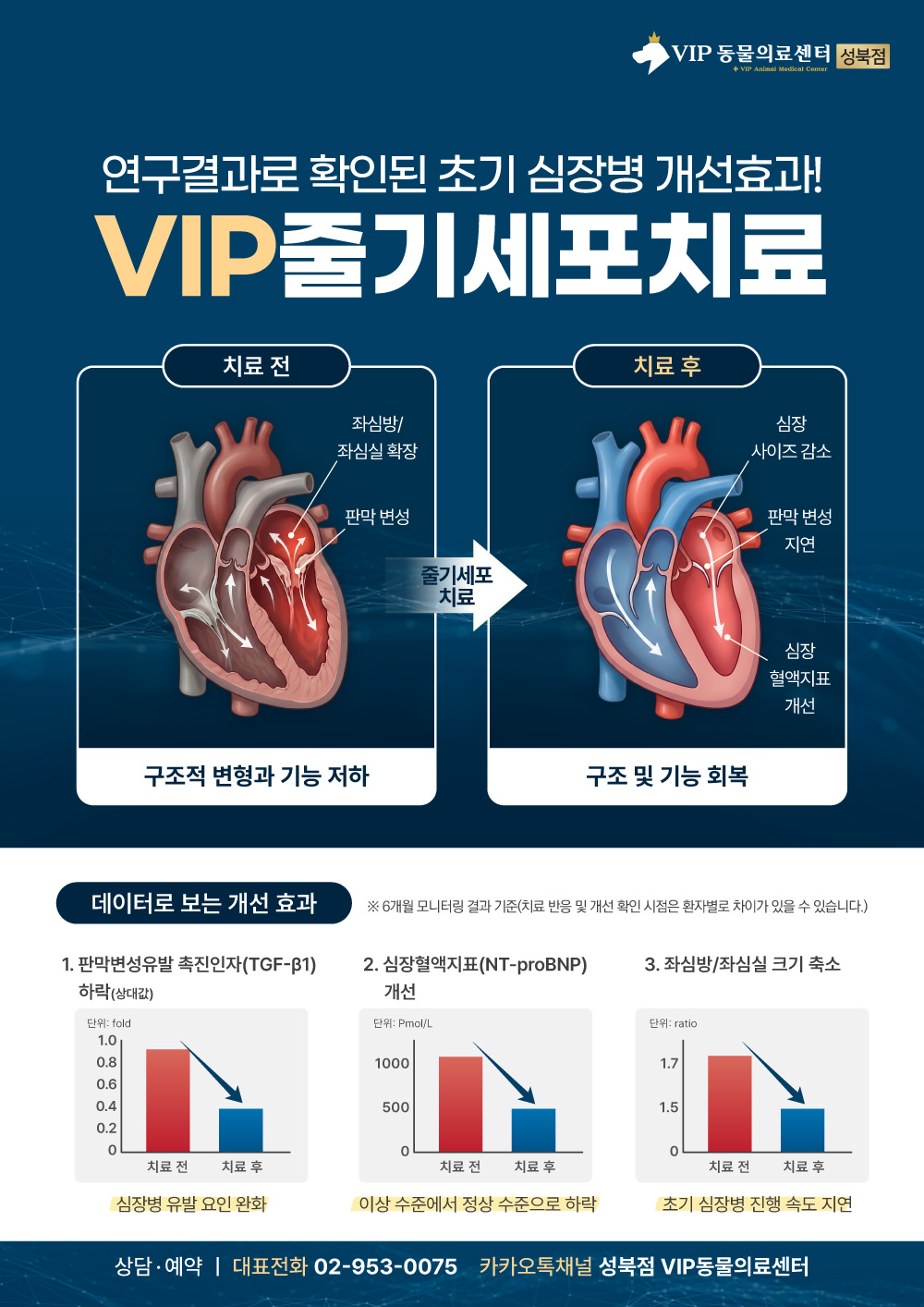 최종_성북줄기세포(홈페이지본문용)02.jpg