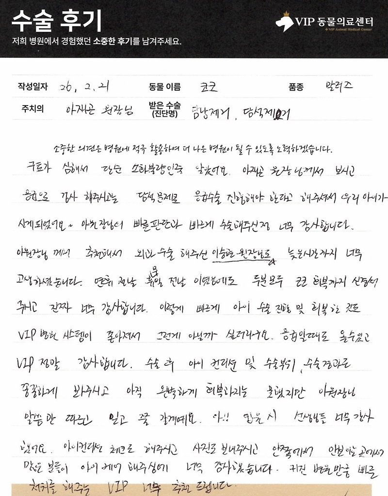 600260221_코코_담낭제거,담석제거_아재곤원장.JPG
