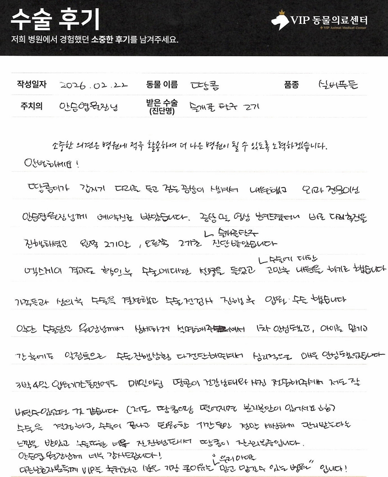 600260222_땅콩_슬개골 탈구_안승엽원장.JPG