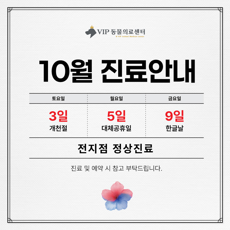 10월(개천절+한글날)진료안내_홈페이지본문.jpg