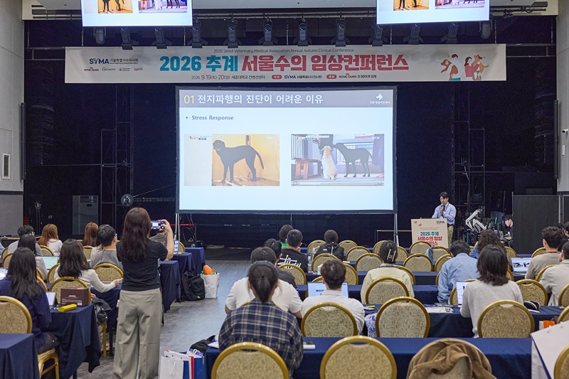 KakaoTalk_20260928_173241876.jpg