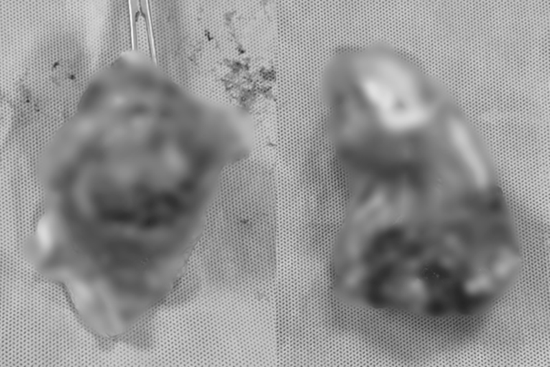 20261006_144524.png