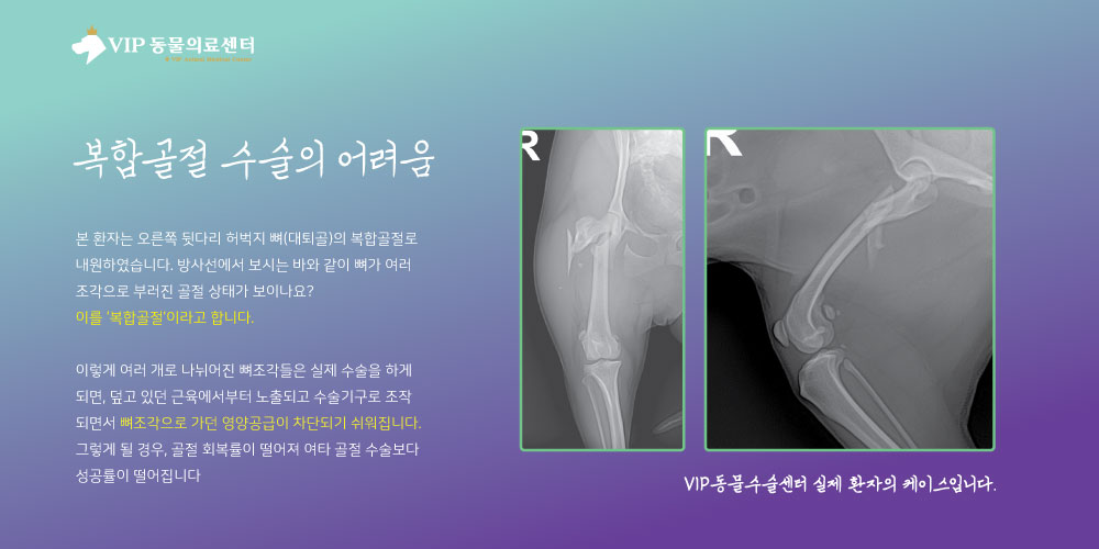 내용1.jpg
