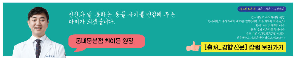 칼럼썸네일_최이돈원장님.jpg