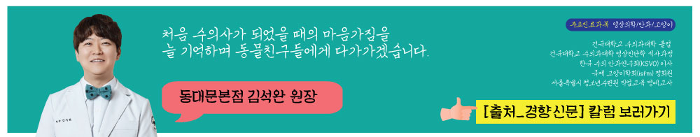 칼럼썸네일_김석완원장님.jpg