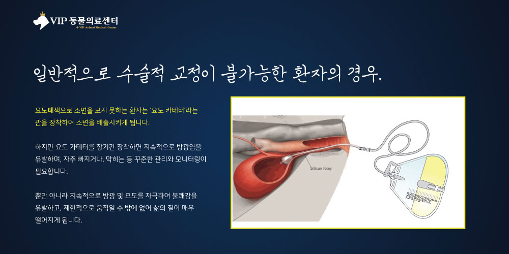 내용2.jpg