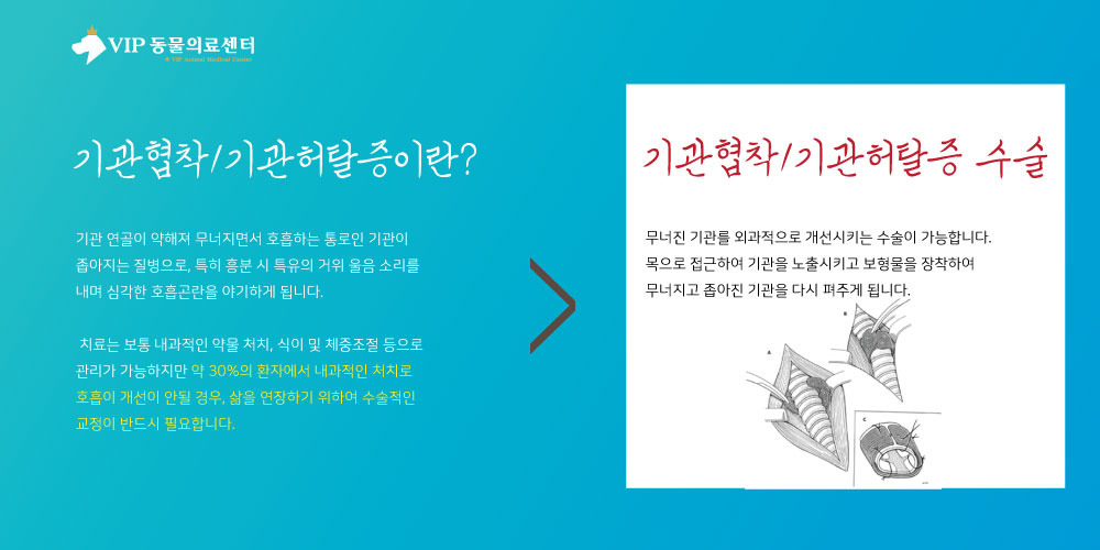 내용1.jpg