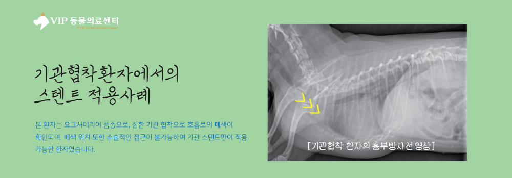 내용3.jpg