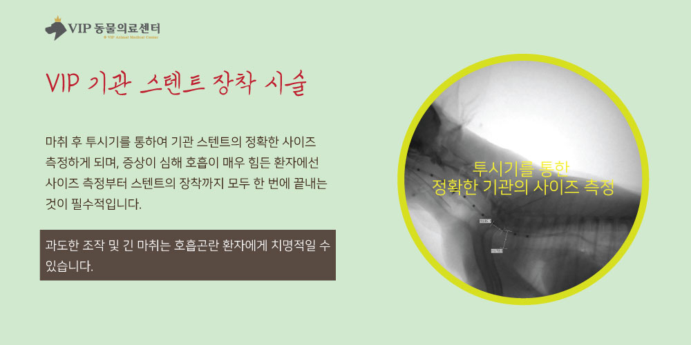 내용4.jpg