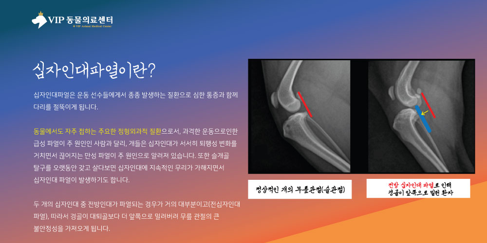 내용2.jpg