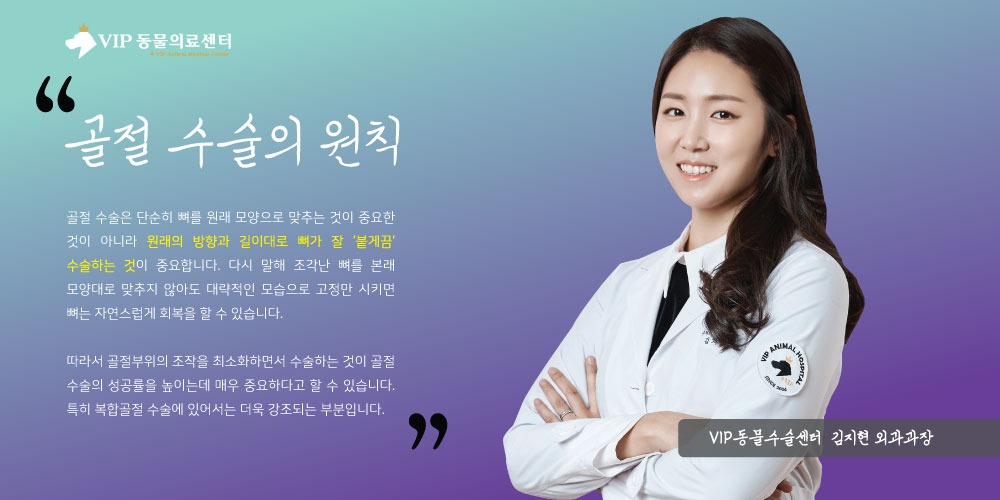 내용2.jpg