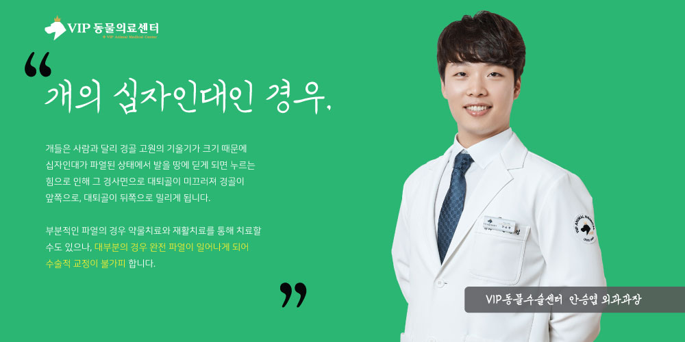 내용4.jpg