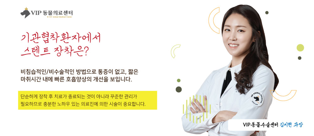 내용6.jpg
