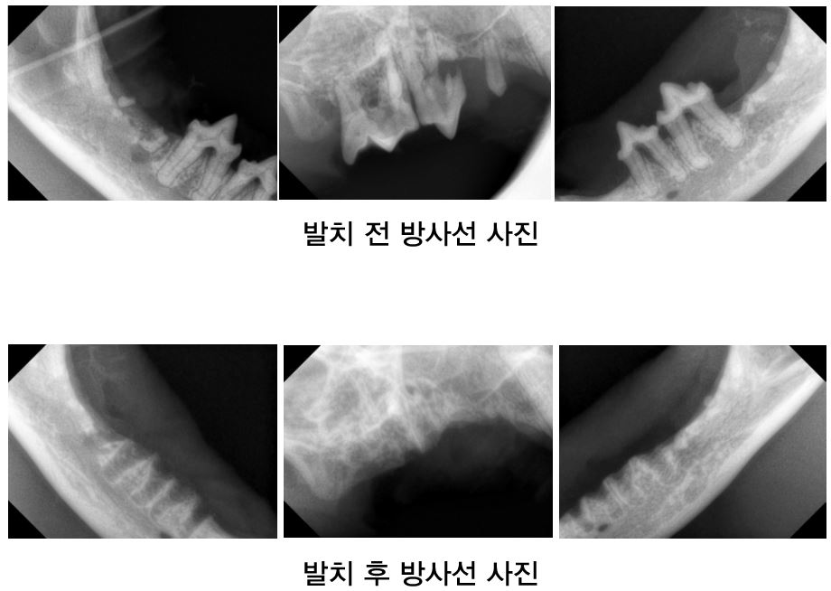 캡처03.JPG