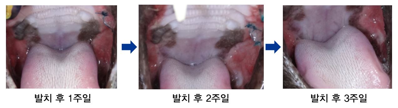 캡처01.JPG