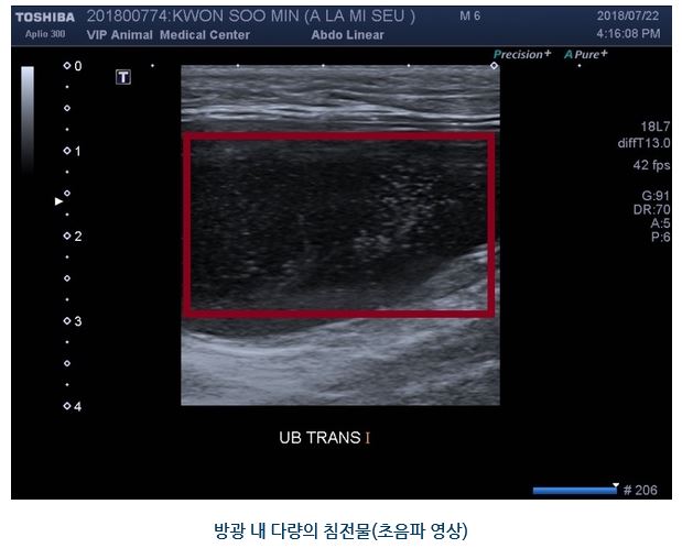아리미스04.JPG